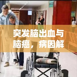 突发脑出血与脑癌，病因解析及防治策略探究