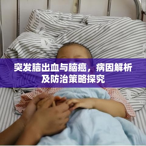 突发脑出血与脑癌,病因解析及防治策略探究