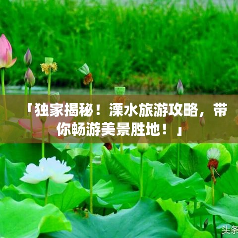 「独家揭秘!溧水旅游攻略,带你畅游美景胜地!」