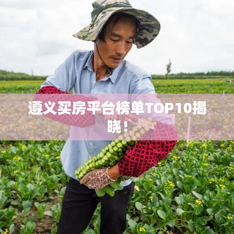遵义买房平台榜单TOP10揭晓！