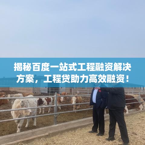 揭秘百度一站式工程融资解决方案，工程贷助力高效融资！