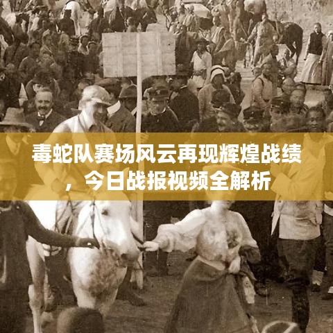 毒蛇队赛场风云再现辉煌战绩，今日战报视频全解析