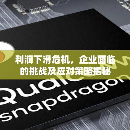 利润下滑危机，企业面临的挑战及应对策略揭秘