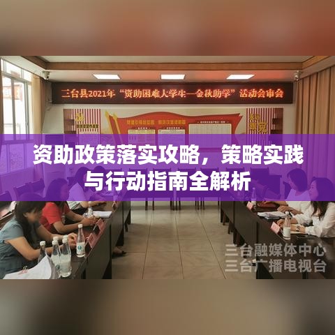 资助政策落实攻略，策略实践与行动指南全解析
