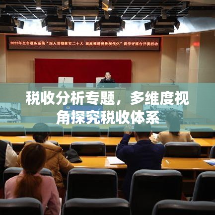 税收分析专题，多维度视角探究税收体系