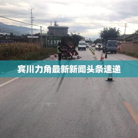 宾川力角最新新闻头条速递