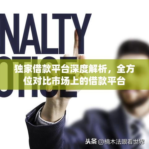 独家借款平台深度解析，全方位对比市场上的借款平台
