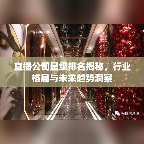 直播公司星级排名揭秘，行业格局与未来趋势洞察