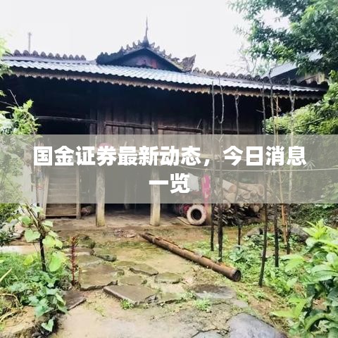 国金证券最新动态，今日消息一览