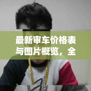最新审车价格表与图片概览，全面解读，一目了然！