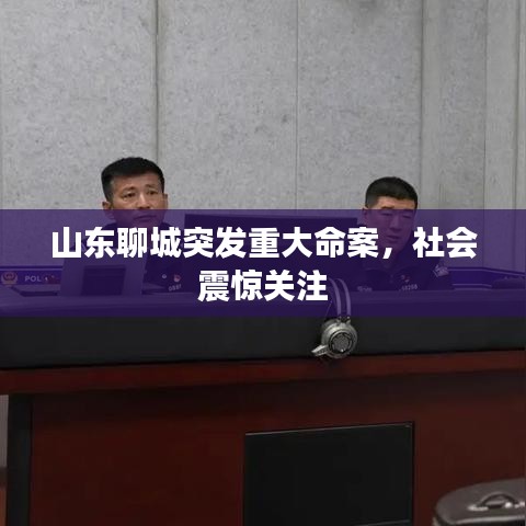 山东聊城突发重大命案，社会震惊关注