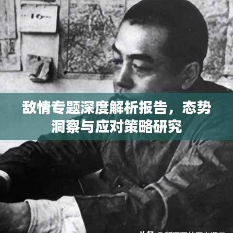 敌情专题深度解析报告，态势洞察与应对策略研究