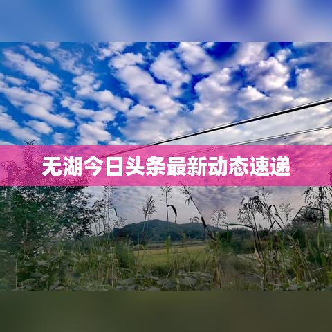 精耕细作 第6页