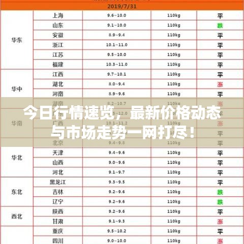 今日行情速览，最新价格动态与市场走势一网打尽！