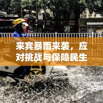 来宾暴雨来袭，应对挑战与保障民生齐头并进