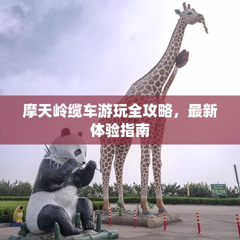 摩天岭缆车游玩全攻略，最新体验指南