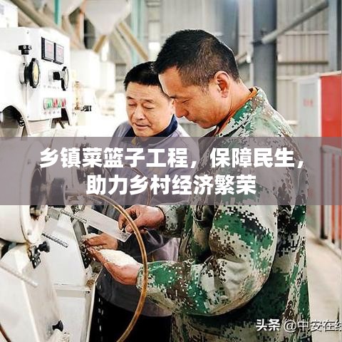 乡镇菜篮子工程，保障民生，助力乡村经济繁荣