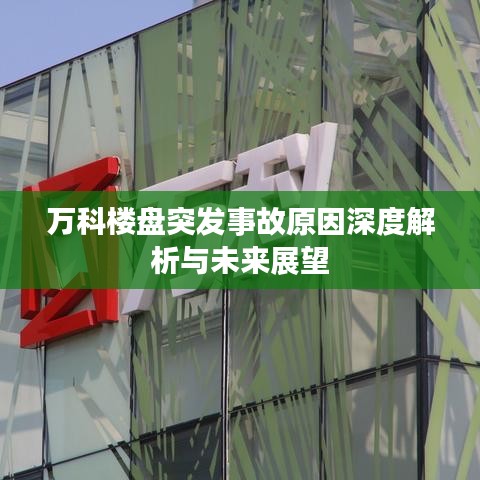 万科楼盘突发事故原因深度解析与未来展望
