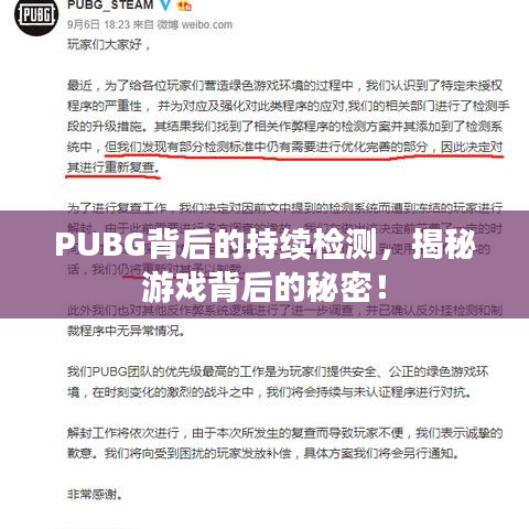 PUBG背后的持续检测,揭秘游戏背后的秘密!