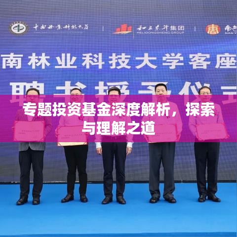 专题投资基金深度解析，探索与理解之道