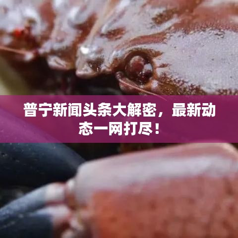 普宁新闻头条大解密，最新动态一网打尽！