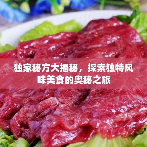 独家秘方大揭秘，探索独特风味美食的奥秘之旅
