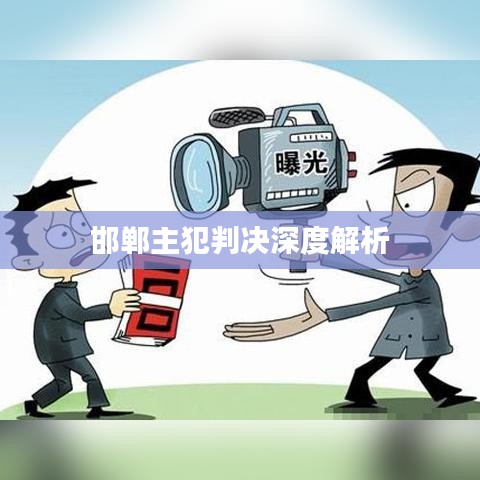 邯郸主犯判决深度解析