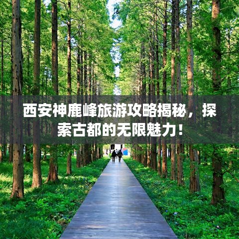 西安神鹿峰旅游攻略揭秘，探索古都的无限魅力！