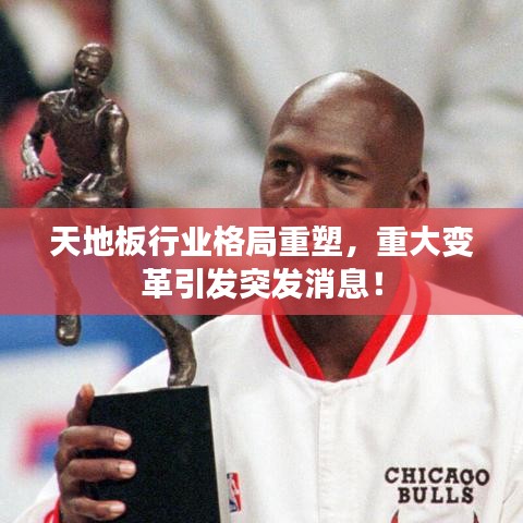 天地板行业格局重塑，重大变革引发突发消息！