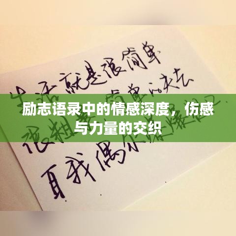 励志语录中的情感深度，伤感与力量的交织
