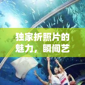 独家折照片的魅力,瞬间艺术尽在其中探索