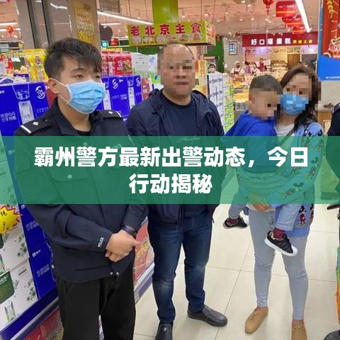 霸州警方最新出警动态，今日行动揭秘