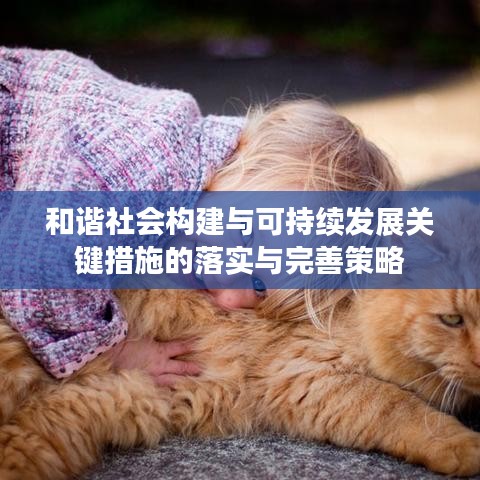 和谐社会构建与可持续发展关键措施的落实与完善策略
