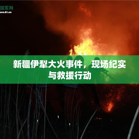 新疆伊犁大火事件，现场纪实与救援行动