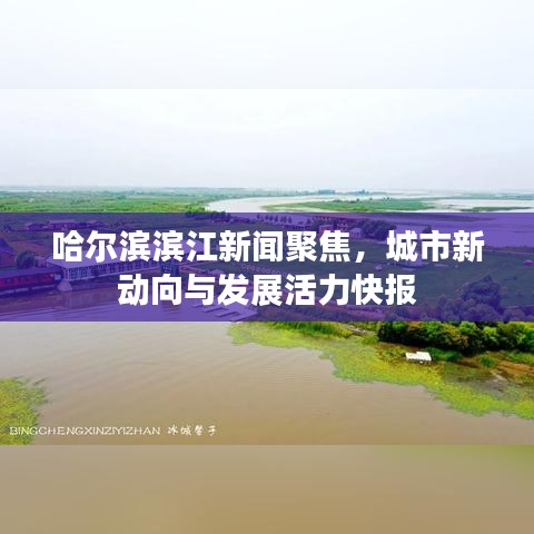 哈尔滨滨江新闻聚焦,城市新动向与发展活力快报