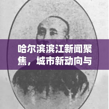 哈尔滨滨江新闻聚焦,城市新动向与发展活力快报