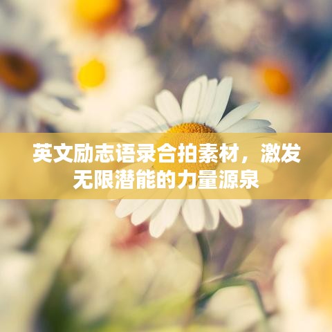 英文励志语录合拍素材，激发无限潜能的力量源泉