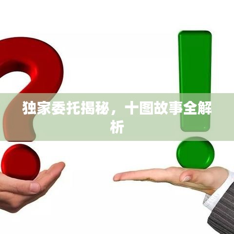 独家委托揭秘，十图故事全解析