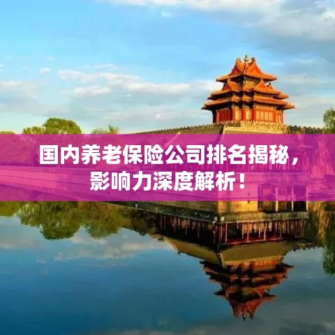国内养老保险公司排名揭秘，影响力深度解析！