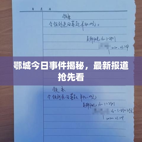 鄂城今日事件揭秘，最新报道抢先看
