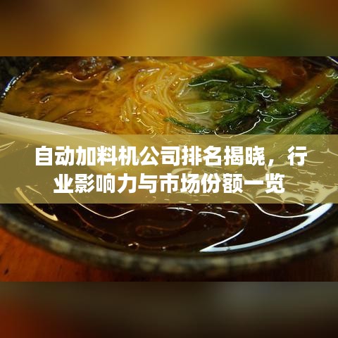 自动加料机公司排名揭晓，行业影响力与市场份额一览