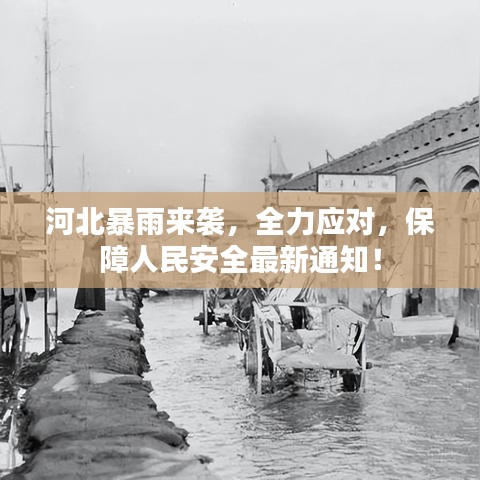 河北暴雨来袭，全力应对，保障人民安全最新通知！