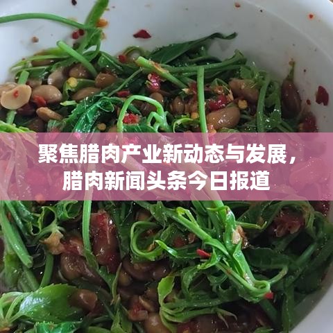 聚焦腊肉产业新动态与发展，腊肉新闻头条今日报道