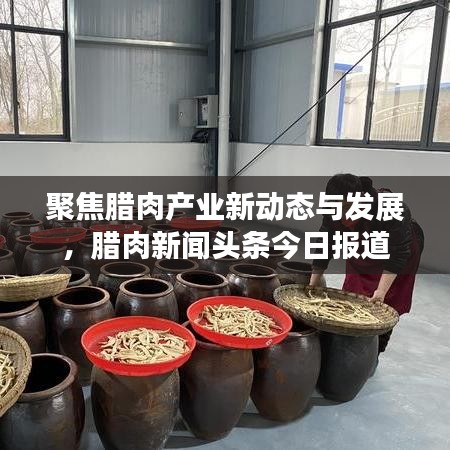 聚焦腊肉产业新动态与发展,腊肉新闻头条今日报道