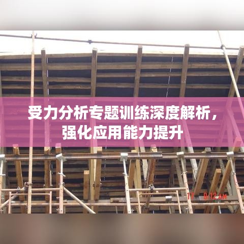 受力分析专题训练深度解析，强化应用能力提升