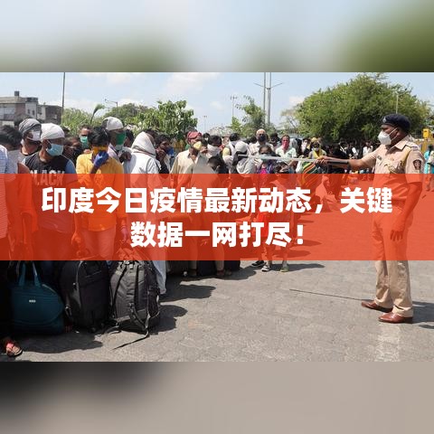印度今日疫情最新动态，关键数据一网打尽！