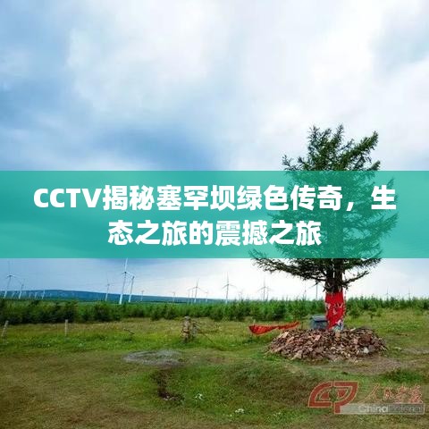 CCTV揭秘塞罕坝绿色传奇,生态之旅的震撼之旅