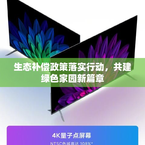 生态补偿政策落实行动,共建绿色家园新篇章