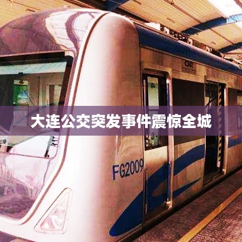 大连公交突发事件震惊全城