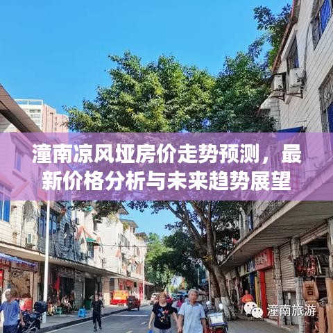 潼南凉风垭房价走势预测，最新价格分析与未来趋势展望